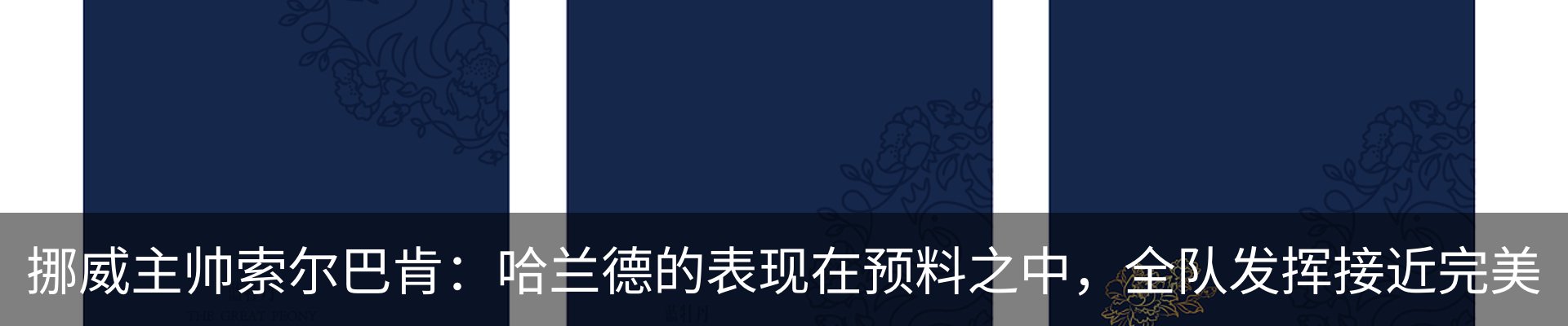 内页banner
